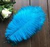 100pcs 10-15cm plumes d'autruche queues queue plumes ventilateur pour coudre des vêtements fête de mariage décoration de la maison