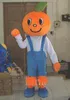 Profesjonalny niestandardowy T2220 Darmowy statek pomarańczowy Mascot Costume Cute Cartoon Odzież Charakter Mascot Dress EMS Darmowa wysyłka