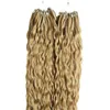 Pierścień Micro Loop Links Remy Kinky Curly 100 prawdziwe ludzkie przedłużenia włosów 200G Micro Ring Hair Extensions 200S Micro Bead Extension1964197