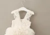 Baby Girls Tiered Tulle Dress 2018 Suspender Barn Tutu Lace Net Yarn Princess Dresses Boutique Kids Ball Gown C3821