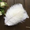 100 шт. 10-15 см Перо страус хвосты хвостовые перья вентилятор для швейной одежды свадьба украшения дома