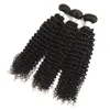 Brésilien Curly pervers avec fermeture 10a Bounchles de cheveux brésiliens vierges brésiliennes avec 44 clôtures moyennes 3 parties66766598557441