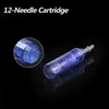 1 3 5 7 9 12 36 42 Pin nano Ago di ricambio Cartuccia Microneedling Cura della pelle per Derma Pen A1 DHL