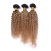 Kinky Curly 1B / 27 Honey Blonde Ombre Human Hair 3 Wiązki Z 4x4 Koronki Zamknięcie Light Brown Ombre Malezyjski Dziewiczy Human Hair Weaves