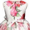 2018 New Arrivic Girls Summer Rose Printed Gauze Puff Princess Dress Daseal Girl Summer Elegant Casual Soureeles Dress 8167587
