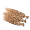 Honey Blonde Kinky Curly Hair Extension # 27 Jordgubb Blondin Afro Kinky Human Hair Weaves 3pcs / Lot Fast Shipping