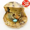 الجملة Akoya oysters pear teardrop oyster shell 6-8mm color freshwater natural term