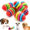 5 Styles Rubber Dog Chew Toys for Small Dogs Play Toys Puppy Clean Teeth Gums Training Tool Dental Health Colorful Pet Toys