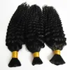 Cały 3PCS Brazylijska perwersyjna kręcone włosy Plejanie Afro Kinky Mur Natural Kolor Ludzki Braiding Bulk 300G Afro Plejanie 3984193