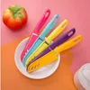 Portable Fruit Knife Stainless Steel Chef Knife With Plastic Handle For Meat Fish Vegetables Fruits Cutting Slicing Candy Color Knives