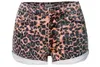 Leopard Hot and Wild Shorts Lady Us/Euro moda wysoka talia Slim noga odcinek damski krótki kowboj