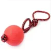 Indestructible Hond Ball Pet Dog Training Speelgoed Puppy Trekballen Speelgoed Pet Chew Speelgoed Kleine Grootte Solid Rubber Ballen met touw