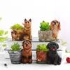 Creative Gift Succulent Flowerpots Cute Dog Garden Decoration Arts Crafts Micro Landscape Planter för skrivbord Balkong Trädgård