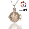 Aromatherapie diffuser ketting lava steen etherische olie diffuser kettingen aromatherapie hangers mode-sieraden vakantie geschenken 3 kleuren