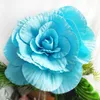 Large PE Foam rose Flowers Head Diy Decoration Home Decor Wedding Wall Background Photography Stage Decoration Fashion Crafts Floral