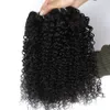 Malaisien extension de cheveux bouclés coquins malais