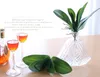 Network explosion models feel phalaenopsis orchid leaf leaves mini feel artificial flowers plants floral GA69