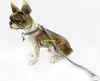 10pcs/lot 4mm 5mm diameter High quality Dog Leash Outdoor Walking Training Metal Snake Chain Dog Collar copper Basic Leashes