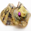 Gros 6-8mm ovale perle Akoya huîtres et cadeau mystère d'huître d'eau douce sous vide emballé individuellement