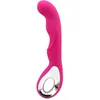 Nuovi vibratori Massaggiatore vibrante G-Spot 10 velocità Vibrazione USB impermeabile Ricarica Prodotto del sesso per le donne Giocattoli del sesso