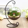 Criativo Circular / Cônico Micro Paisagem Ecológica Garrafa De Água Gota De Lágrima De Vidro Pendurado Plantador Pot Terrário Decoração