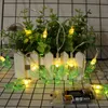 Ins Explosion guirlande lumineuse solaire Cactus batterie boîte guirlande lumineuse décoration de salle guirlande lumineuse