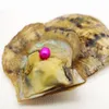 Perle d'huître Ayoya ovale rose de 6 à 8 mm emballée individuellement sous vide 1 perle d'eau douce dans l'huître