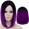 Fashion Chic Medium Cos Wigs Black Gradient Purple Straight Cosplay Wig Free Shipping