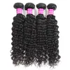 Brazylijska Prosta Dziewiczy Ludzki Wiązki Włosów Peruwiański Wave Głębokie Kinky Curly Remy Hair Extensions Mokre i faliste Ludzkie Włosy