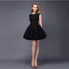 Short Formal Evening Dresses New Spring Fashion Flare Collar Party Applique Party Ballroom Cocktail Party Dresses HY091