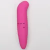 Puissant Mini G-Spot Vibrateur Petit Bullet Clitoris Stimulateur Dolphin Vibrant Oeuf Sex Toys pour Femme Adultes Produits de Sexe