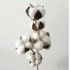 6 cabeças ramo florescer natural algodão artificial plantas floresce ramo para decoração de casamento caseiro decoração de flores falsas