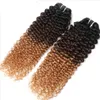 Brazilian Human Virgin Hair Weft Ombre 1b/4/27 Brown Blonde Kinky Curly Weaves Double Drawn 100g One Bundle