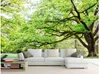 Custom Photo Wallpaper Green woods landscape HD TV background wall Art Mural for Living Room Large Painting Home Decor