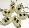 12 pcs yqtdmy Specimens Acrylic Resin Embedded Bee Keychain New Fashion Crafts9816219