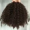 African American Malaysian Kinky Curly Clip In Hair Extensions Real Hair Kinky Curly Drawstring Ponytails Afro Hårstycke