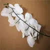 Reale Touch Orchideen Hochwertige Latex Orchideenblume Künstliche Blumen Prinzessin Schmetterling Orchidee Phalaenopsis für Hochzeit Centerpi9921527