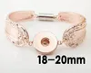 Fashion Exquisite Ginger Snap Smycken Lotter Mix Style Vintage Snap Charm Armband Armband Fit DIY 18mm Utbytbar Snap Button Charms