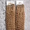 Extensions de cheveux humains micro boucle 200G Extensions de cheveux micro lien Extensions de cheveux humains 200g micro boucle 1g bouclés