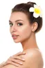 Femmes Plumeria Épingles À Cheveux Hawaïen Vacances Pneu Mousse Frangipanier Fleur Artificielle Coiffe Fleurs DIY Réception De Mariage Décoration De La Maison