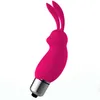 Mini Rabbit Vibrator Gspot Clitoris Vagina Stimulate Bullet Vibrating Massager Female Masturbation Adult Sex Toys For Women5416834