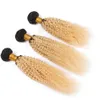 Deux tons 1b 613 Blonde cheveux humains tisse Afro crépus bouclés Ombre cheveux tisse malaisienne vierge Extension de cheveux 3 Pcs/Lot