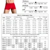 Venda quente 2017 Masculino Barato Nova Moda Sexy Marca Qualidade Coon Calcinhas Boxer Homens Shorts Mr Plus Size Underwear Homem Superfície