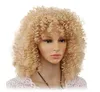 Afro Kinky Curly Wigs For Women Synthetic Heat Resistant Fiber Black Brown Red Full Wig Cosplay wig7888609