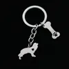 Beagle Pet Dog Keychain Keychain Key Rings Bone Oco Claw Paw de Aço Inoxidável Chaveiros Carro Chave Titular Metal Diy Moda Presentes Jóias Atacado