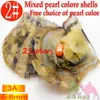 Novo Japão Akoya Pearl Oyster Oval 6-8mm Água Doce Natural Raça Fresh Oyster Pearl Mexilhão Fornecimento Agrícola Atacado