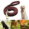 Hot Nieuwe Cat Dog Collar Leash Koe Lederen Puppy Tractie Training Lood Walking Harness Touw Pet Supplies