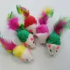 Jouets en molleton doux pour chat, fausse souris, plumes colorées, jouets d'entraînement amusants pour chiens, chats, chaton, ZA6138