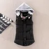 Nouveau hiver coton rembourré gilet femme femmes sans manches à capuche vestes manteau décontracté femmes gilet gilet