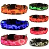 Camo Dogs Luminous Fluorescencyjne kołnierze Pet Supplies Nylon Dog Collar Night Safety LED Glow Dog Huness Cat Catars Glow W Dark
